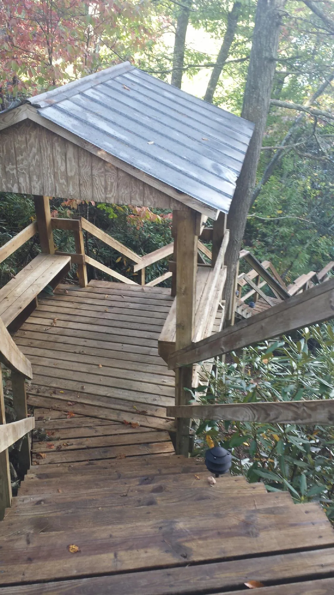 Metal roofed shelter over wooden steps on a wooded walkway — Skylight Repair & Installation work by our crew in Mc Cormick